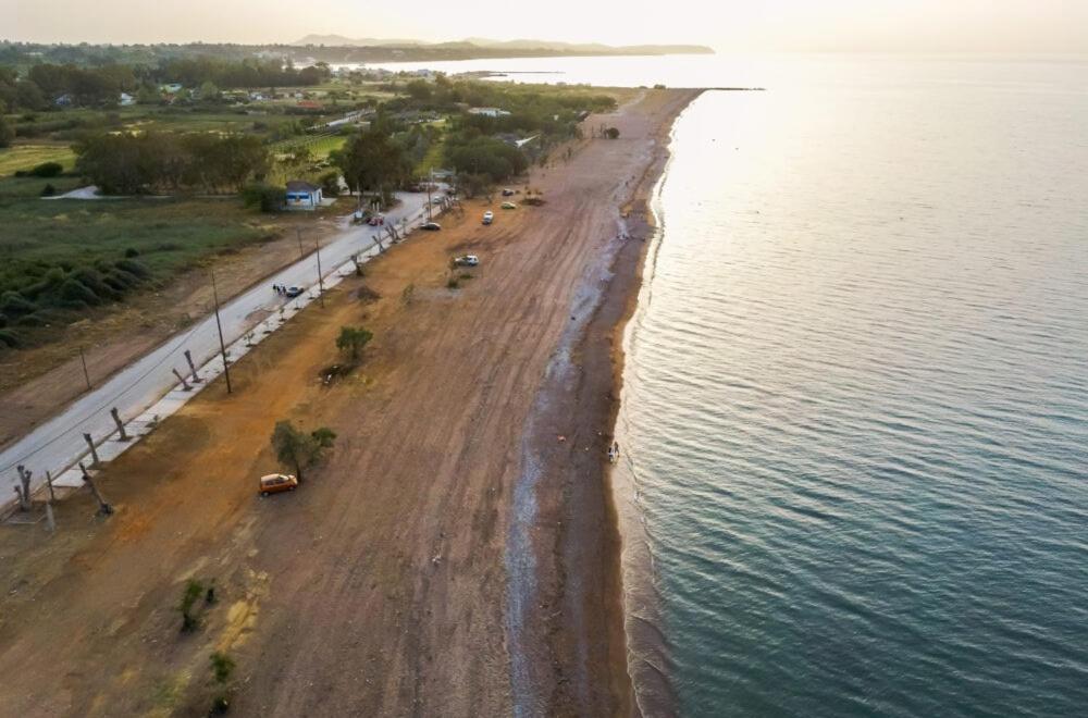 Willa Sea Breeze Kato Achaia Zewnętrze zdjęcie